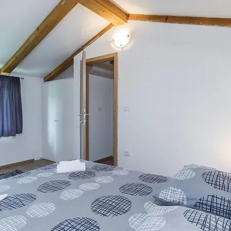 In Svpetar U Sumi 別荘 Pamići