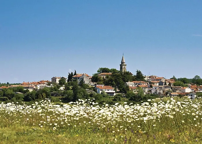 In Svpetar U Sumi Holiday home *